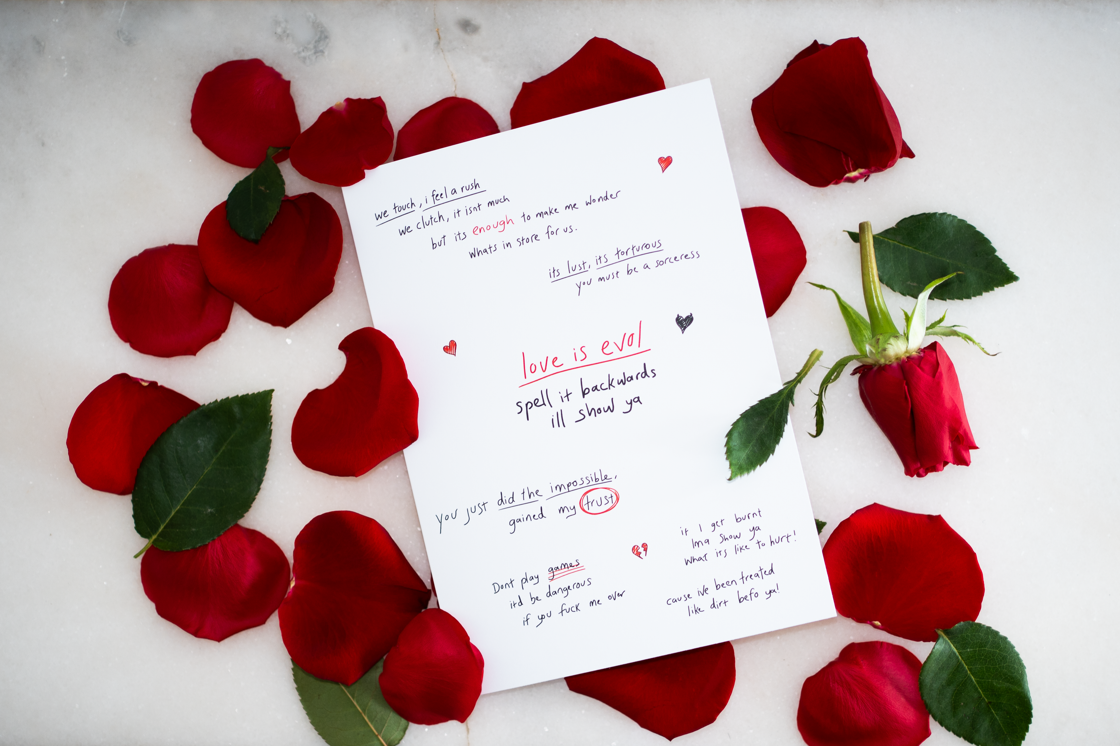 Love is Evol Greetings Card